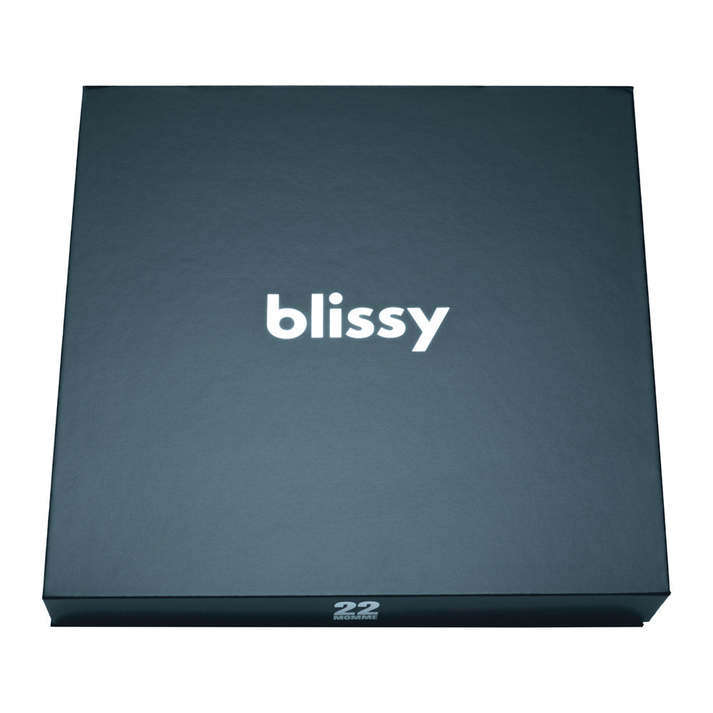 Blissy Mulberry Silk Blissy Dream Set – Ash Blue Standard
