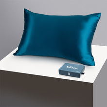 Load image into Gallery viewer, Pillowcase - Aqua - Standard