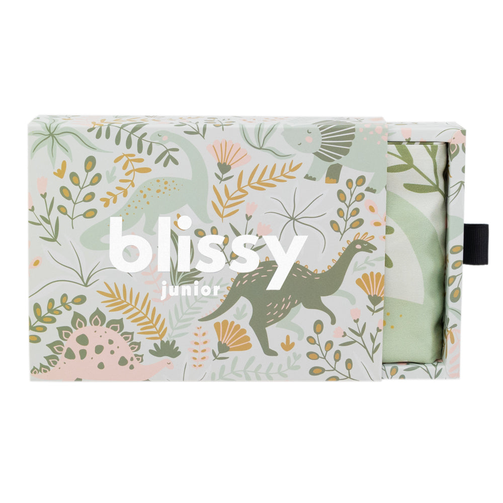 Blissy Mulberry Silk Pillowcase – Dinosaur