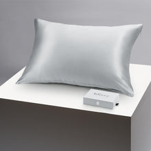 Load image into Gallery viewer, Pillowcase - Silver - Standard